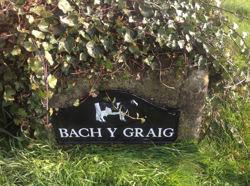Bach Y Graig Hotell St Asaph Exteriör bild