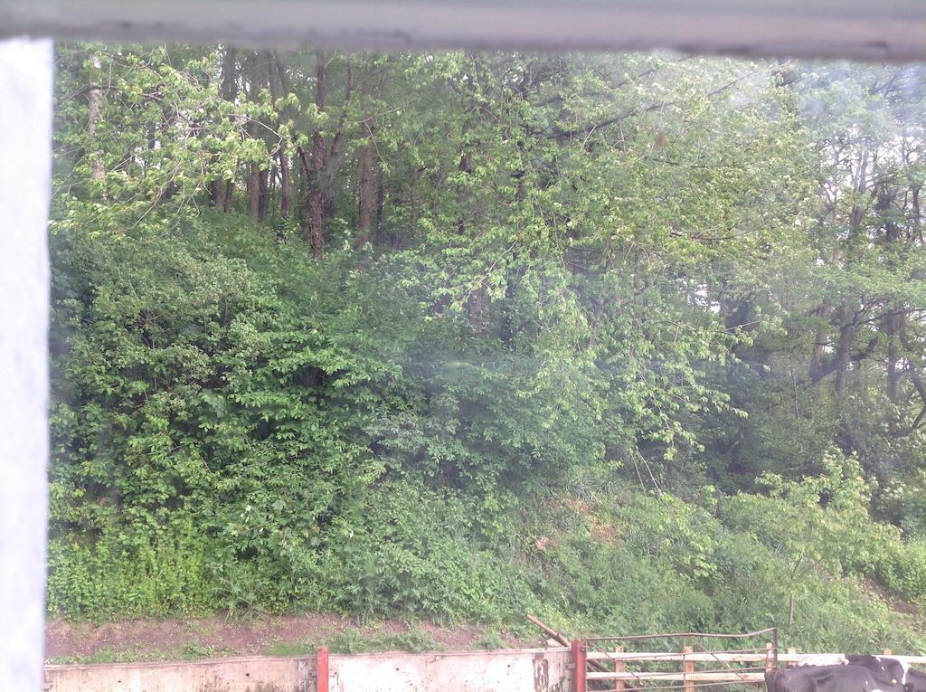 Bach Y Graig Hotell St Asaph Rum bild