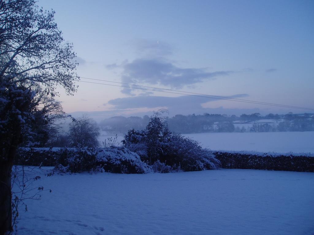 Bach Y Graig Hotell St Asaph Exteriör bild