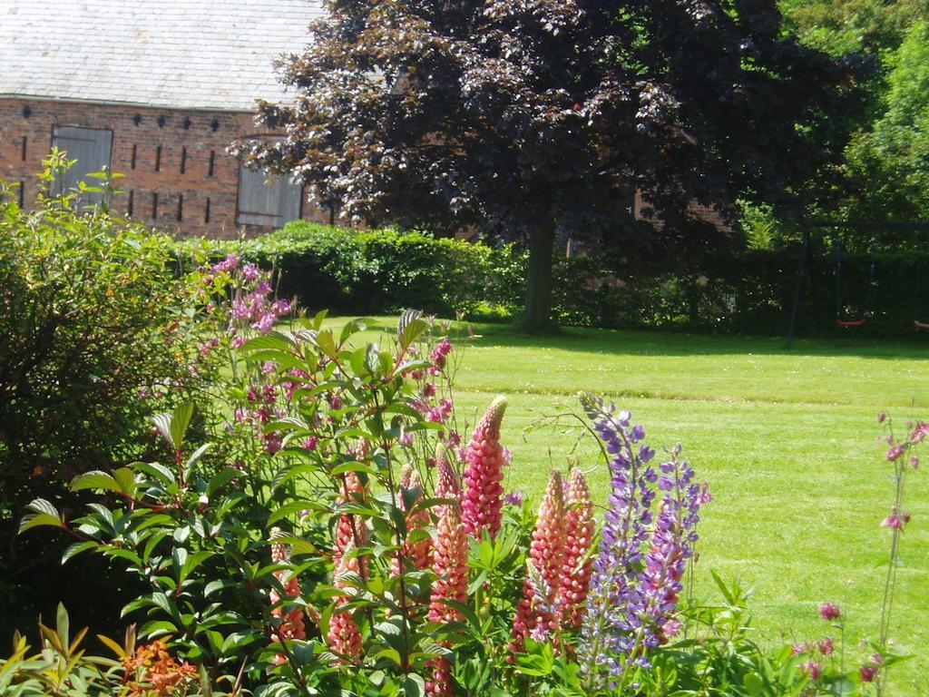 Bach Y Graig Hotell St Asaph Rum bild
