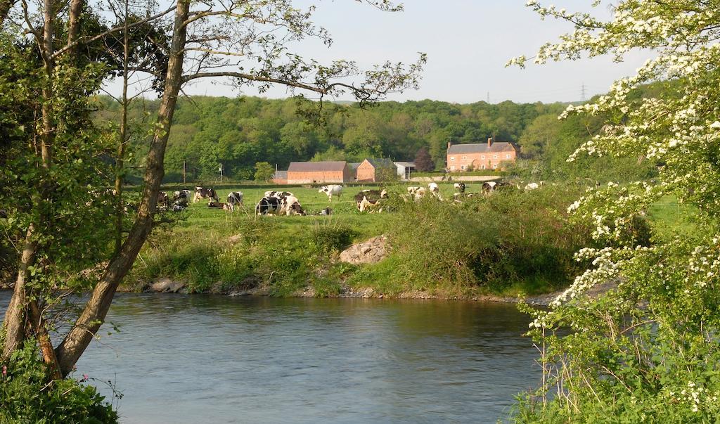 Bach Y Graig Hotell St Asaph Exteriör bild